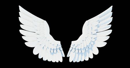Angel wings, Natural white wing plumage on black background. 3d renderの写真素材