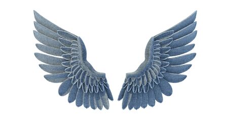 Angel wings, Natural black wing plumage on white background,3d renderの写真素材