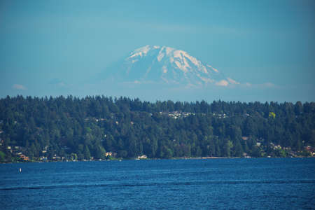 view on Mount Rainier and a forest on a foreground from Seattle