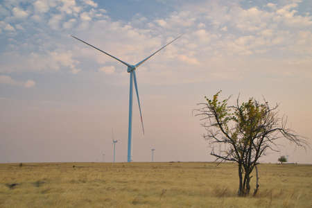 windmills in the field in the autumn eveningの写真素材