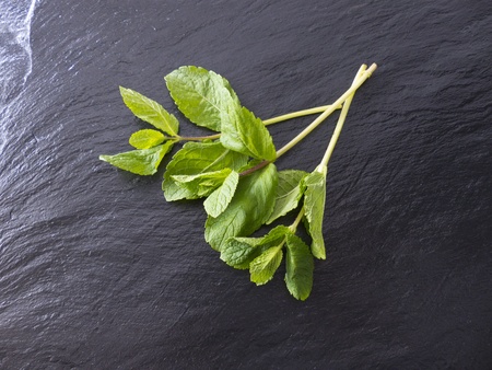 Mint on a slate