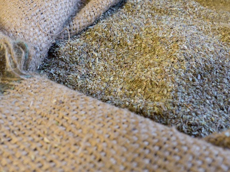 Dried oregano in a jute bag

の写真素材