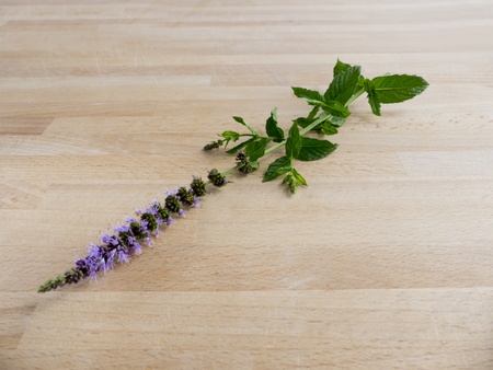 Peppermint with flower on a wooden board の写真素材