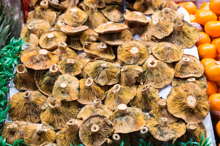 Many mushrooms at a market stall.の写真素材