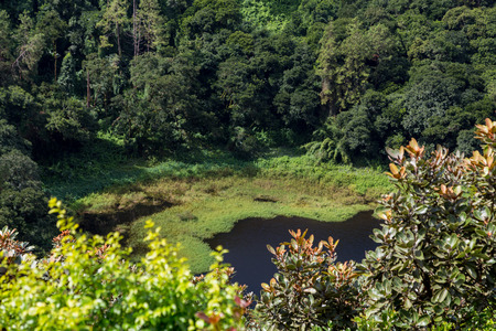 Volcano crater of Trou aux Cerfs in Mauritius.の写真素材