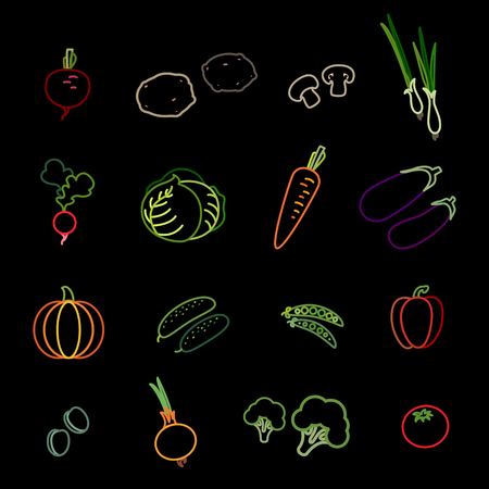 Set of vegetable icons. Beetroot, potato, mushrooms, spring onions, radish, cabbage, carrot, eggplant, pumpkin, cucumber, peas, bell pepper, olives, onion, broccoli and tomato vector illustration.のイラスト素材