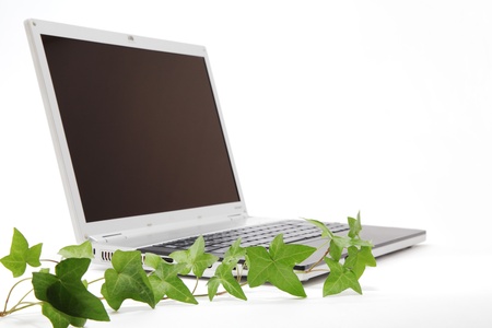 Computer and ivyの写真素材
