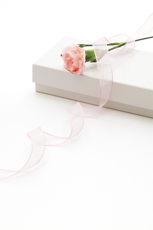 Pink carnation, white box and pink ribbonの写真素材