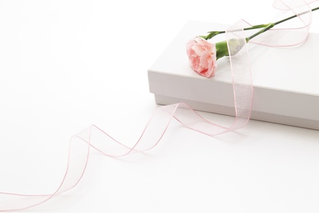 Pink carnation, white box and pink ribbonの写真素材