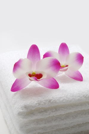 Orchids and towels                                の写真素材
