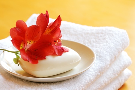 Red flowers on soap                               の写真素材