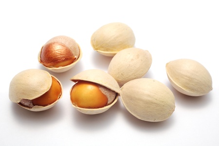 Ginkgo nuts の写真素材