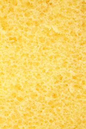 Closeup of sponge cake の写真素材