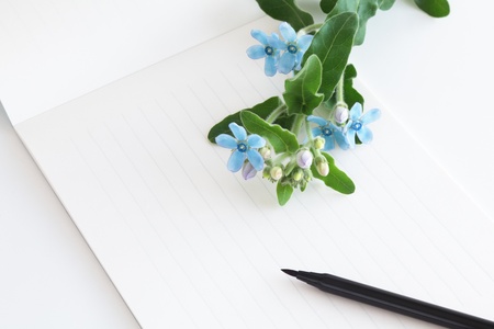 Letter paper with japanese calligraphy pen and blue flowersの写真素材