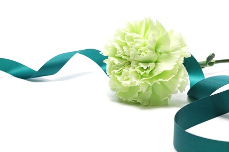 Green carnation and ribbon isolated on white backgroundの写真素材
