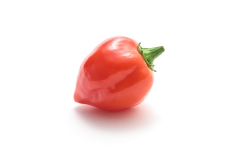Red habanero chili on white backgroundの写真素材