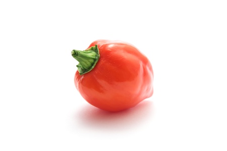 Habanero chilli の写真素材