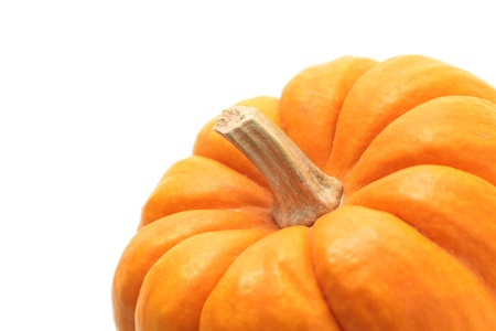Orange Pumpkin on white backgroundの写真素材