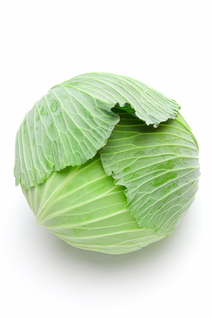 Cabbage on white backgroundの写真素材