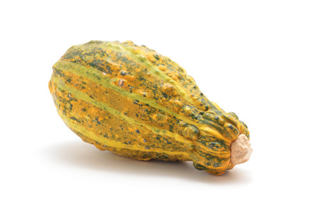 Decorative pumpkin on white backgroundの写真素材