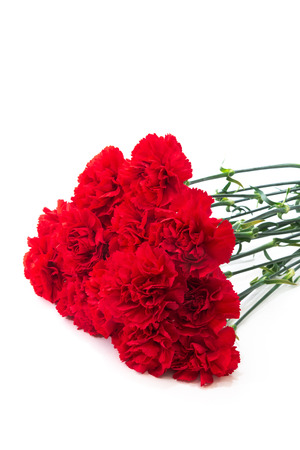 Red carnations bouquet isolated on whiteの写真素材
