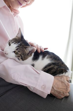 Elderly woman holding a cute catの写真素材