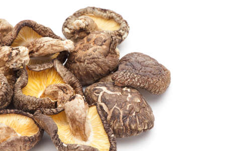 Dried shiitake on white backgroundの写真素材