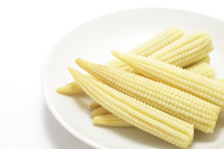 Young corn on white backgroundの写真素材