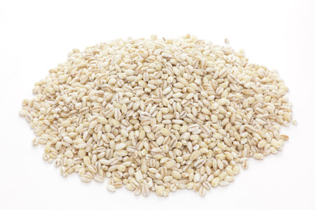 Mochimugi, barley on white backgroundの写真素材