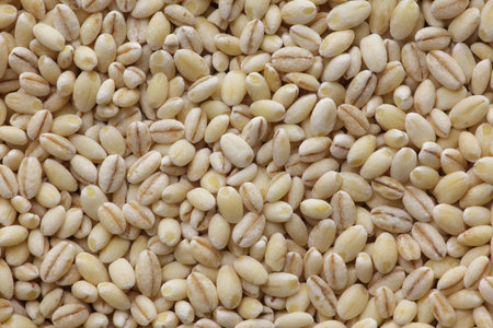 Mochimugi, barley, textureの写真素材