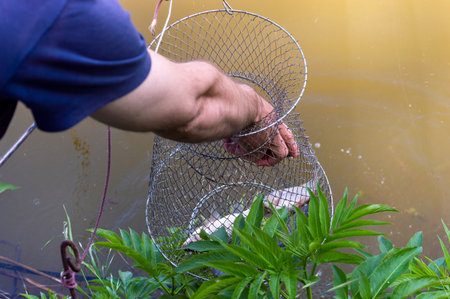 Fisherman holding a fishing net in the pond. Fishing concept.の写真素材