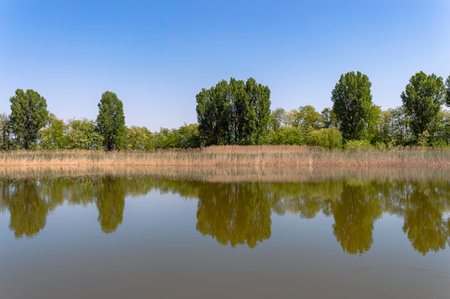 Landscape view of a lake with trees and blue sky background.の写真素材