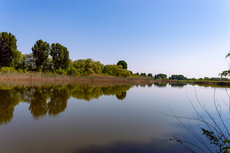 Landscape of a lake with trees and blue sky in the backgroundの写真素材