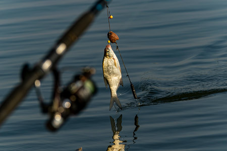 Fishing rod and reel on the background of the water. Close-upの写真素材