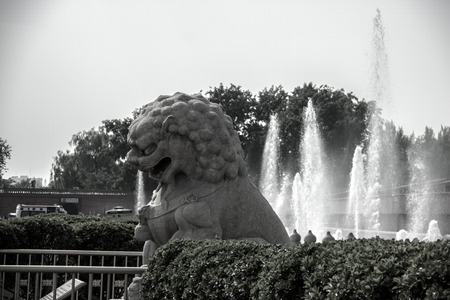 Stone lion in the parkの写真素材
