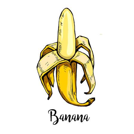 one yellow banana with an inscription, graphics on a white background. Element for design, print t-shirt. Vector illustrationのイラスト素材