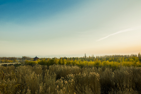 Under the setting sunの写真素材