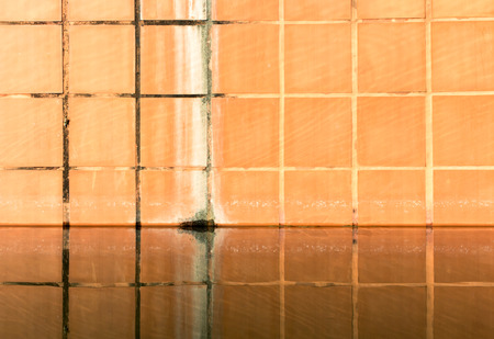 Orange pool wall and reflectionの写真素材
