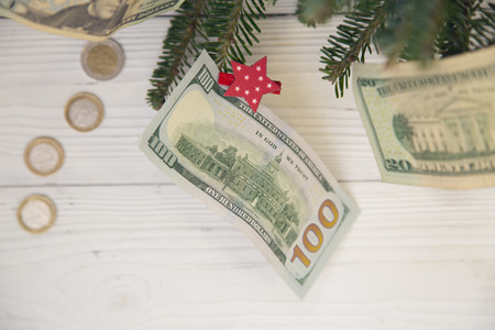 Money and fir tree branchesの写真素材