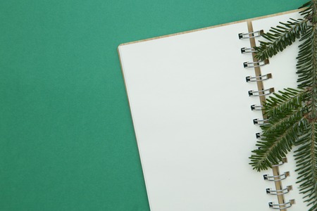 Writing New Year plans. Green Christmas or New Year background with a blank notebook and a spruce branch. Space for your text or image. Top view.の写真素材
