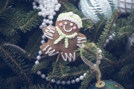 A fragment of a decorated Christmas tree at home. A gingerbread man and white pearl beads on green fir tree branches. Close up. Christmas or New Year banner.の写真素材