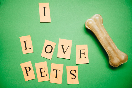 love pets inscription and a bone snack for dogs on a green background. Pet care and veterinary concept. Spase for your text or image.の写真素材