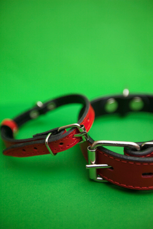 Take a pet for a walk.Two red leather dog collars on a bright one-color green background. Pet care...