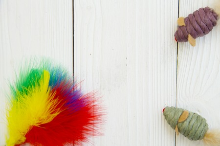 Pet care, veterinary concept.Training your pet. A white wooden background with a frame of a fluffy colorful toy and toy mice. Space for a text or product display.の写真素材