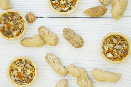 Pet care, veterinary concept. A white wooden background with rodent or rabbit snack plates, grains, seeds and whole peanuts scattered on a white wooden table. Space for a text or imageの写真素材