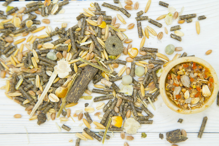 Pet care, veterinary concept. A white wooden background with rodent or rabbit food scattered on the table-, grains, seeds, dry veggies and a nutritious snack plate. Space for a text or imageの写真素材