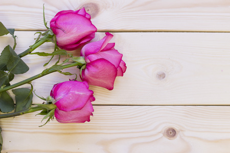 Pink roses on wooden backgroundの写真素材