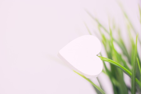 Valentine's Day, Wedding, Ecology, Save the Planet concept, with a white wooden heart on a leaf of a...
