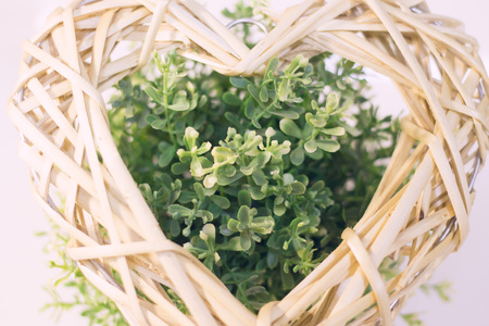 Valentine's Day, Wedding, Ecology, Save the Planet concept, green plant behind a woven withy wreath...