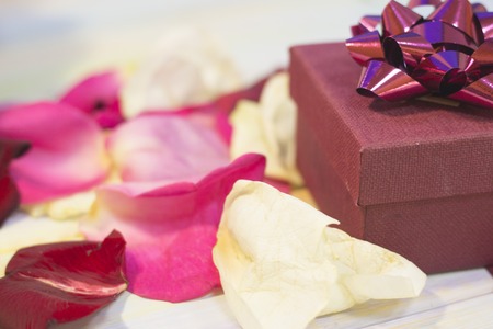 The concept of holidays with rose petalsの写真素材